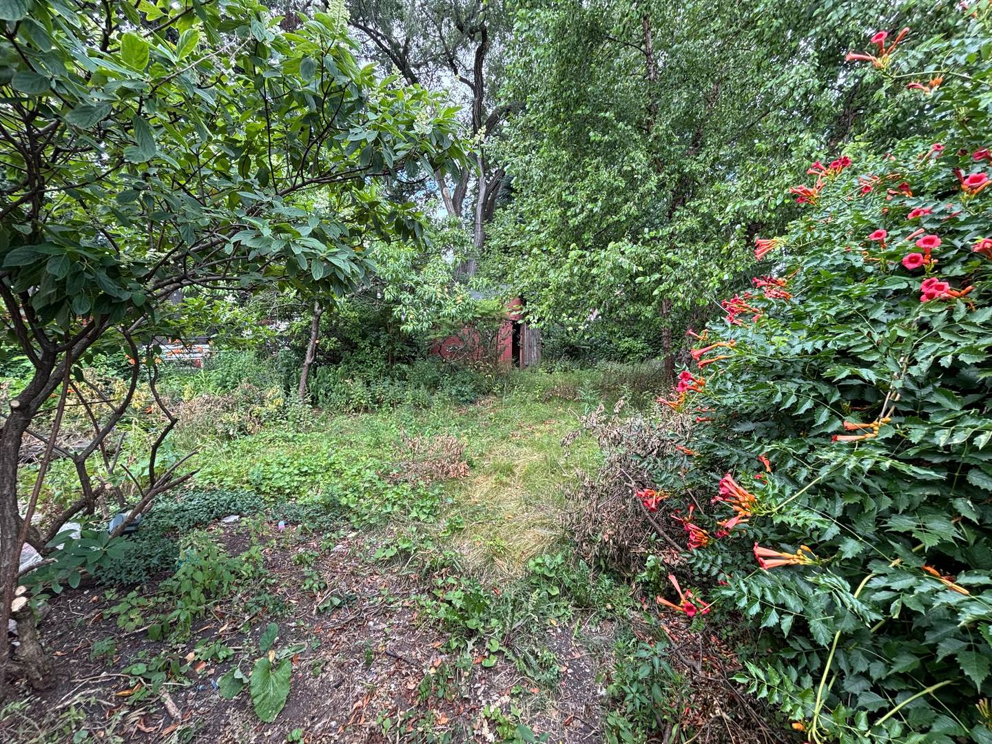 10300 S Talman Avenue Property Photo 4