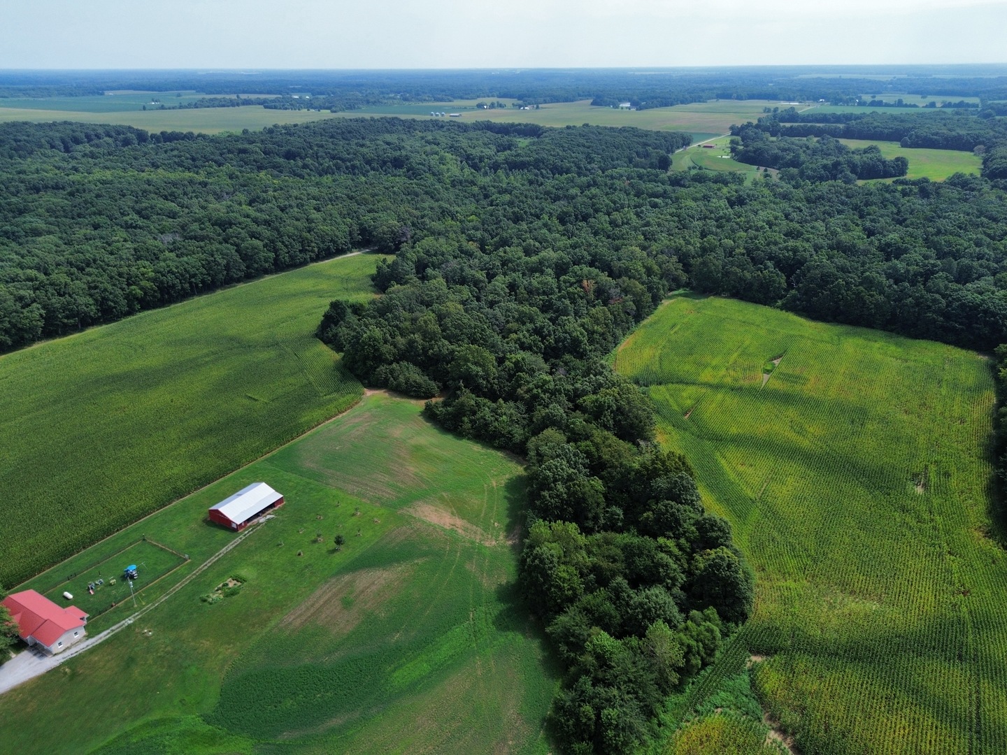 000 Iuka Road Property Photo 3