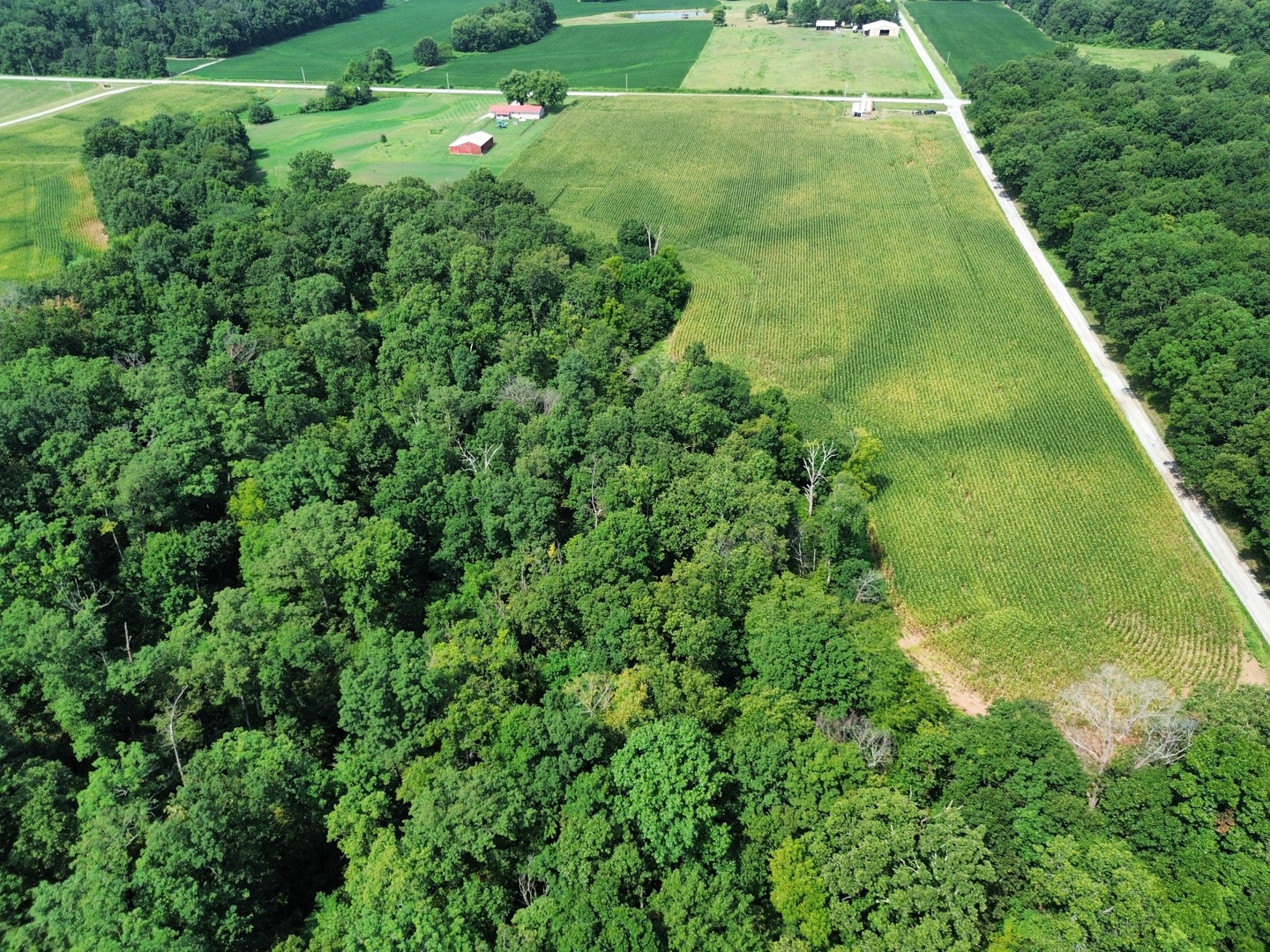 000 Iuka Road Property Photo 12