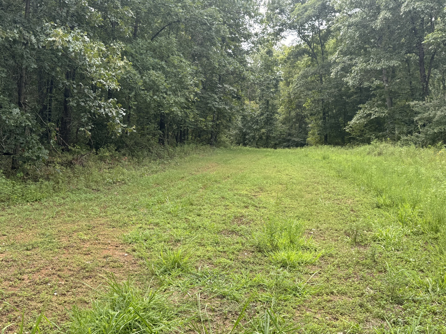 000 Iuka Road Property Photo 15