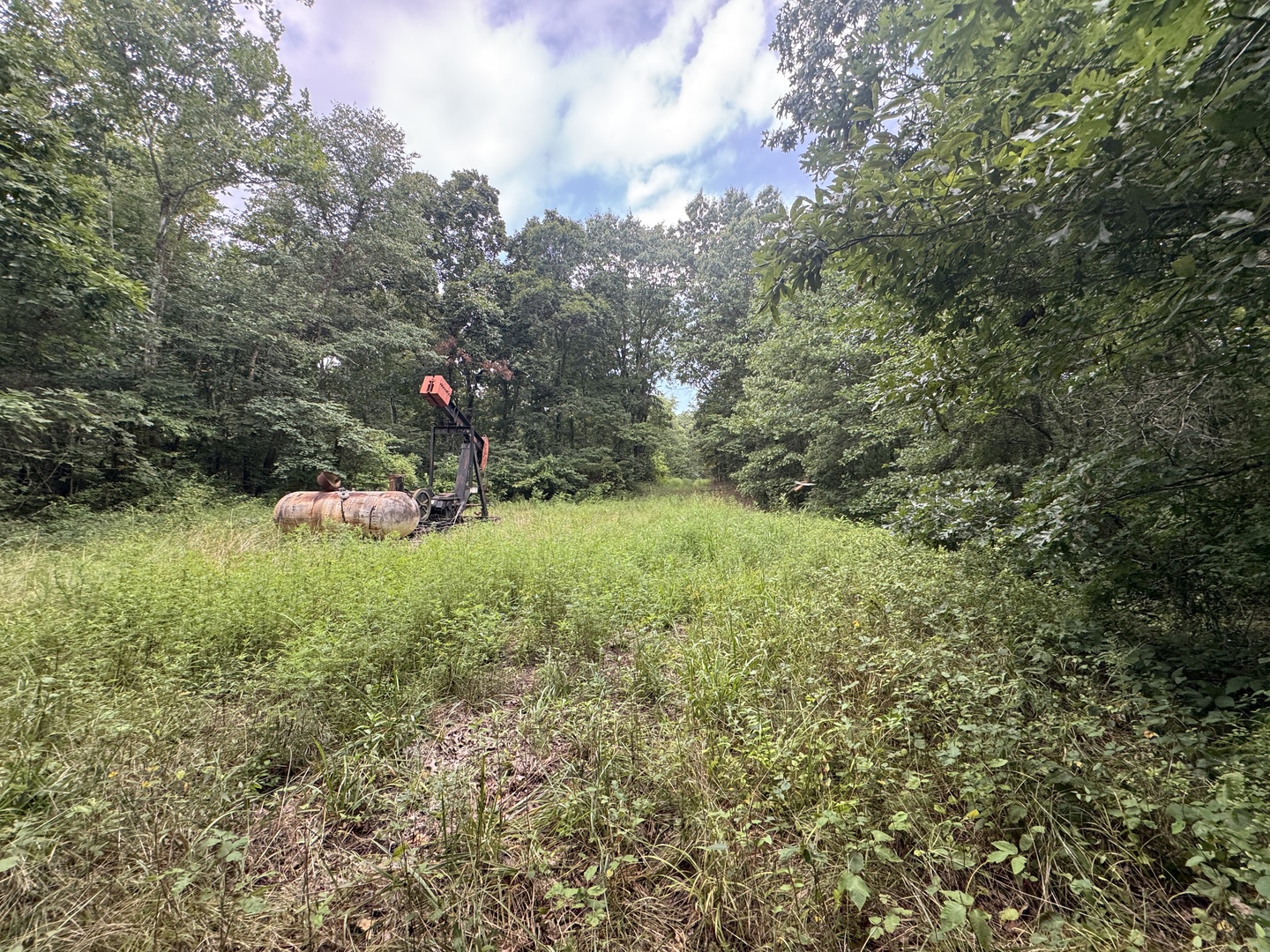 000 Iuka Road Property Photo 16