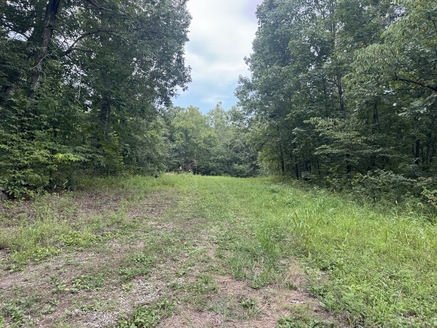 000 Iuka Road Property Photo 20