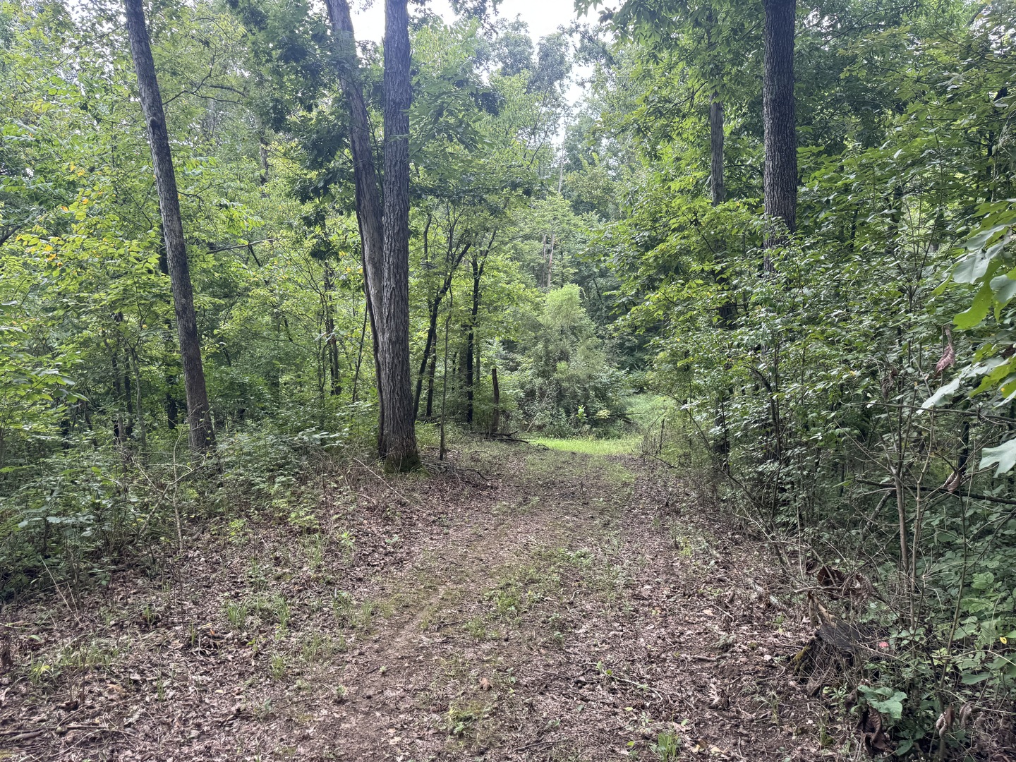 000 Iuka Road Property Photo 22