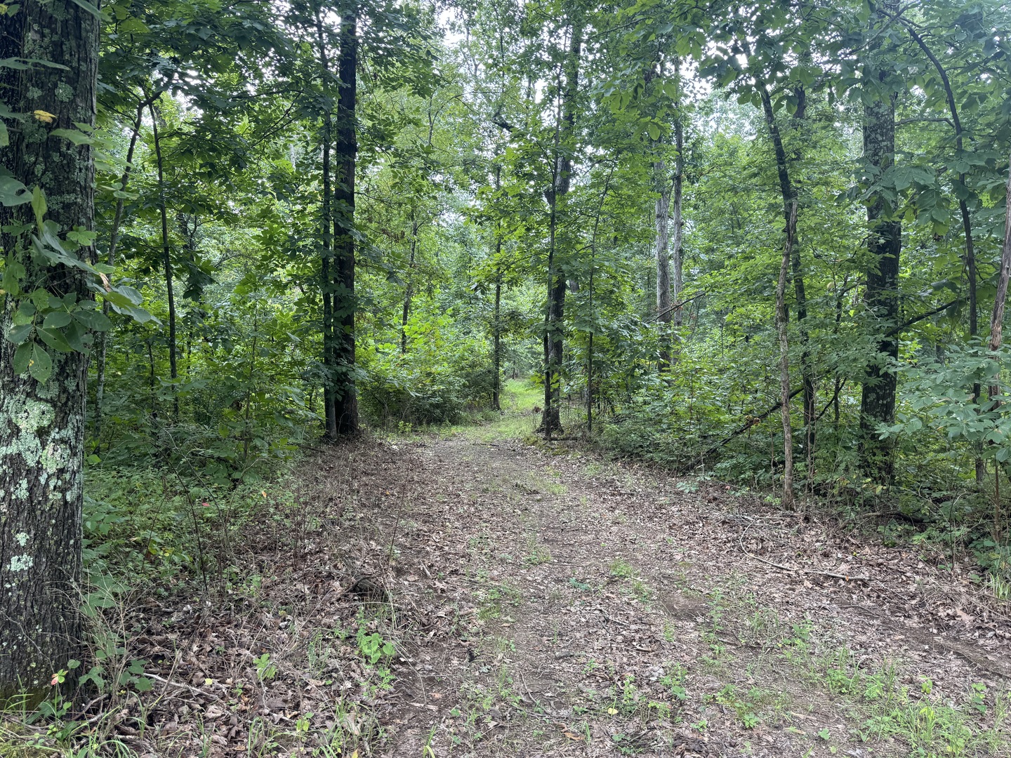 000 Iuka Road Property Photo 25