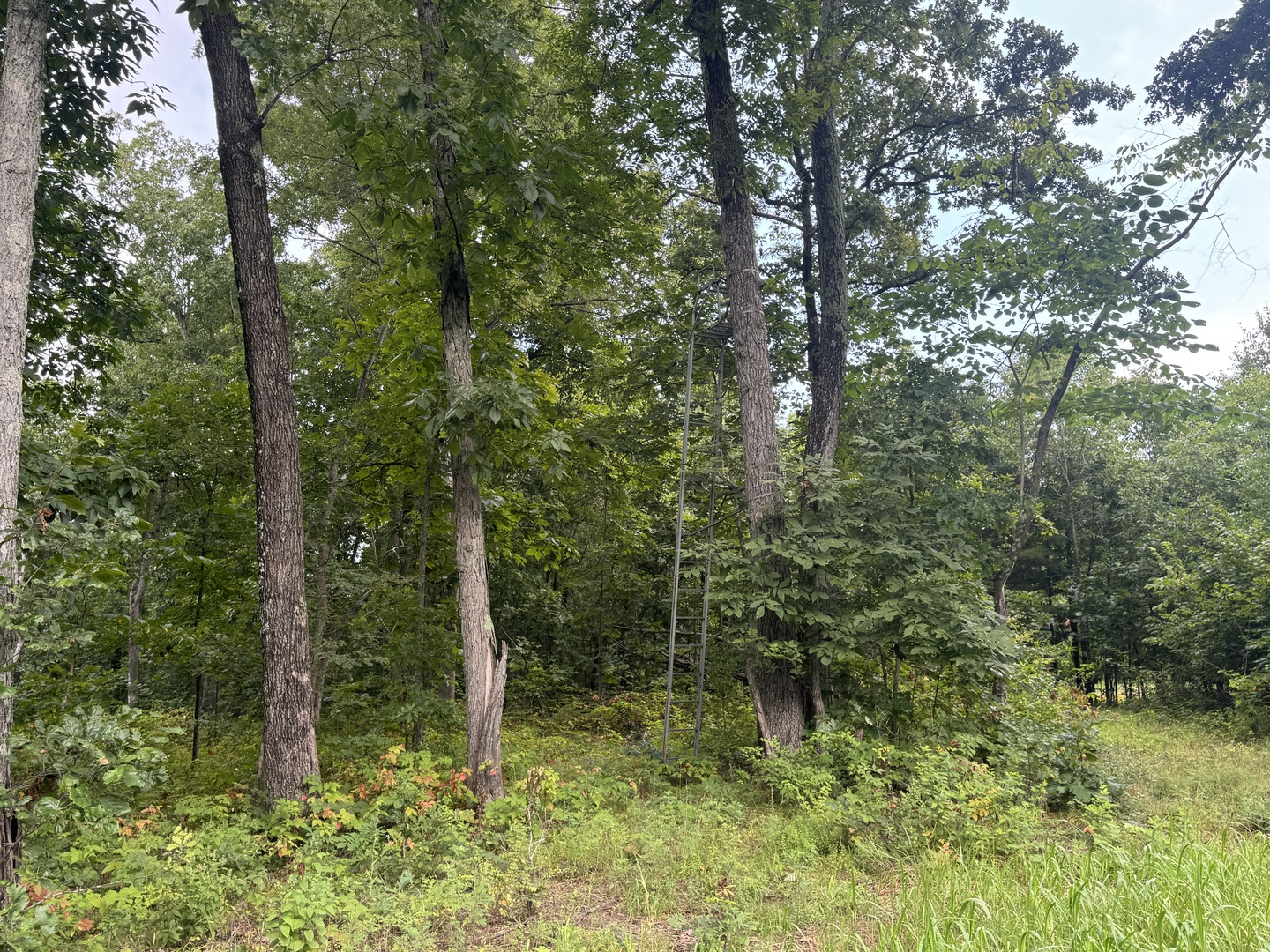 000 Iuka Road Property Photo 26