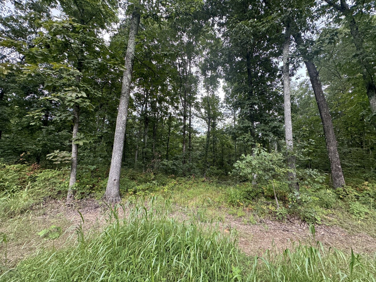 000 Iuka Road Property Photo 27