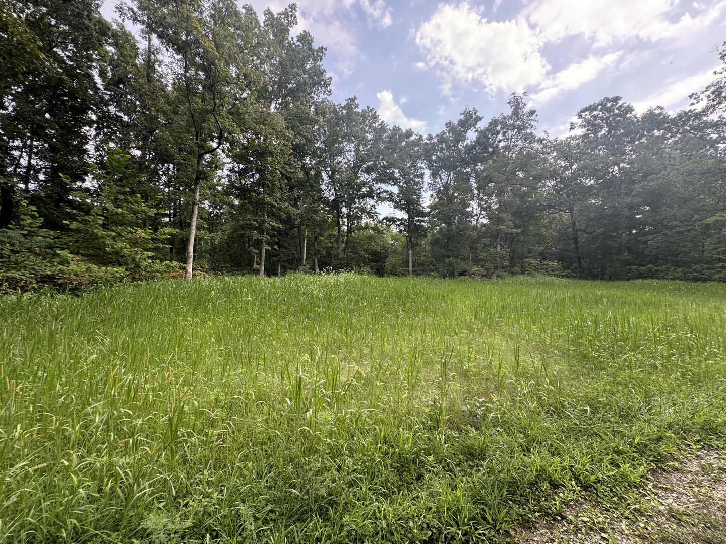 000 Iuka Road Property Photo 28