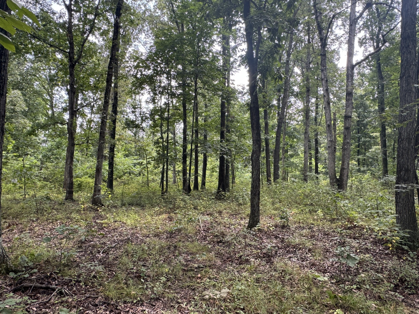000 Iuka Road Property Photo 31