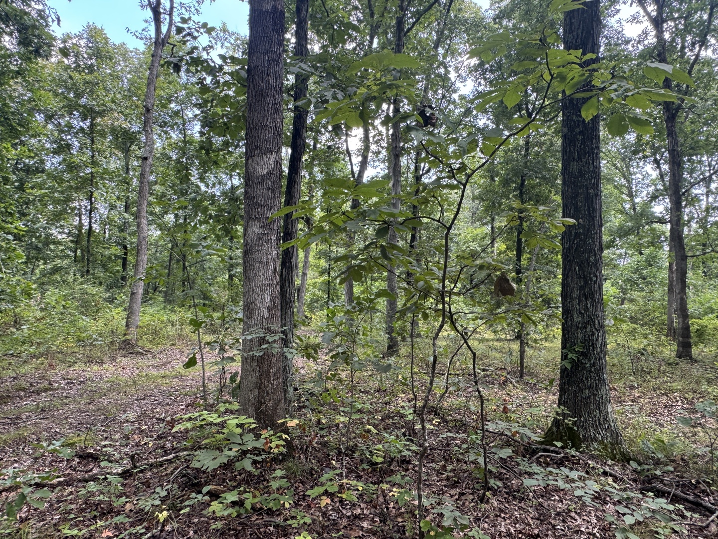 000 Iuka Road Property Photo 32