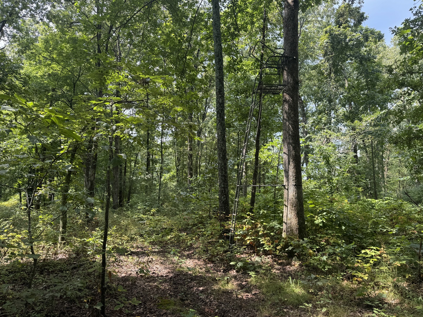 000 Iuka Road Property Photo 34