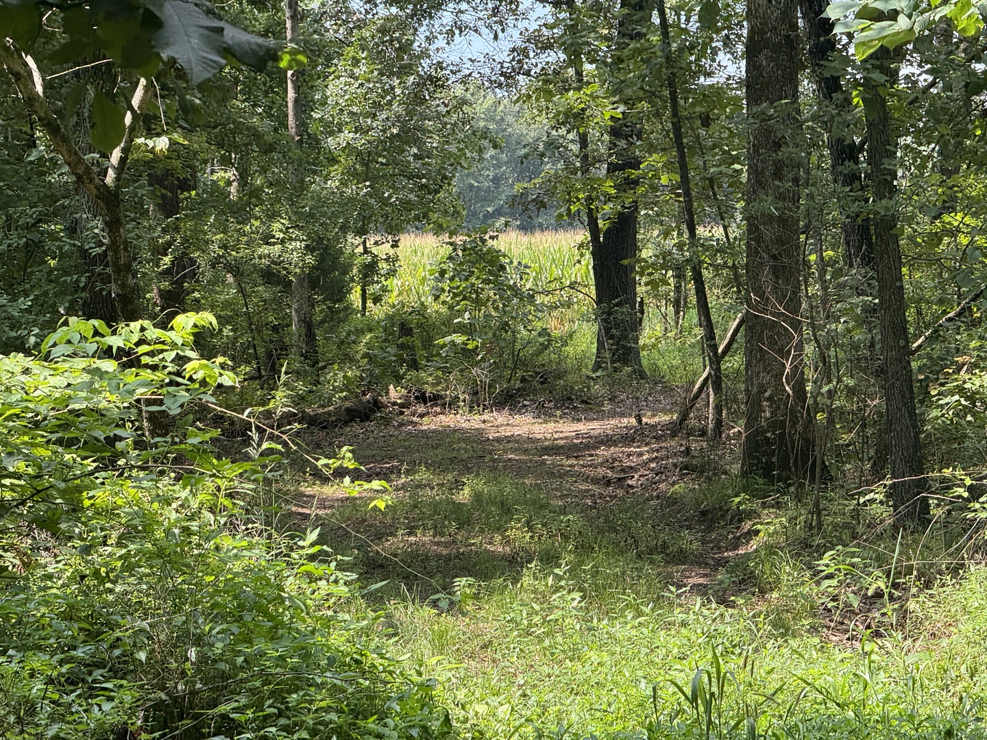 000 Iuka Road Property Photo 35