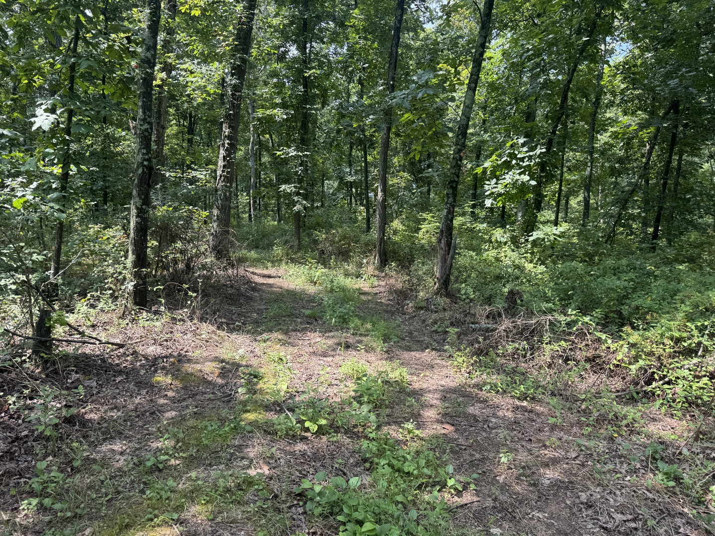 000 Iuka Road Property Photo 36