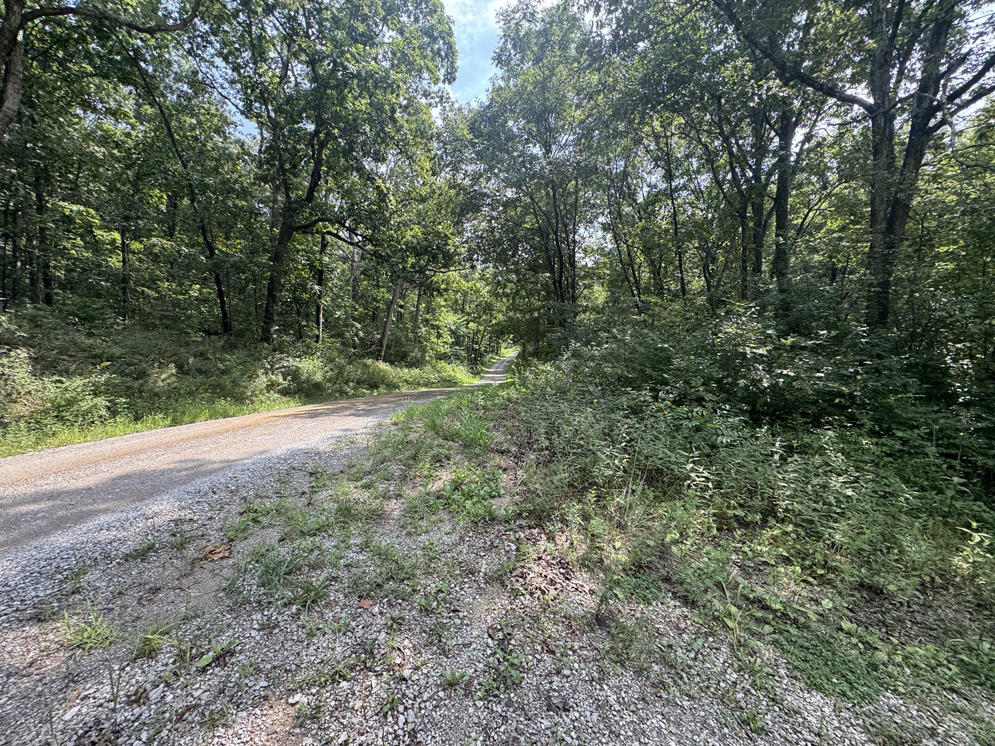 000 Iuka Road Property Photo 38