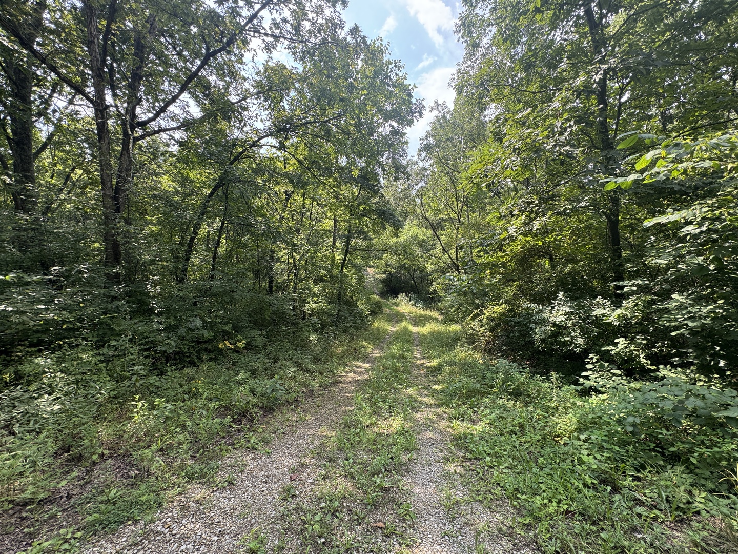 000 Iuka Road Property Photo 40