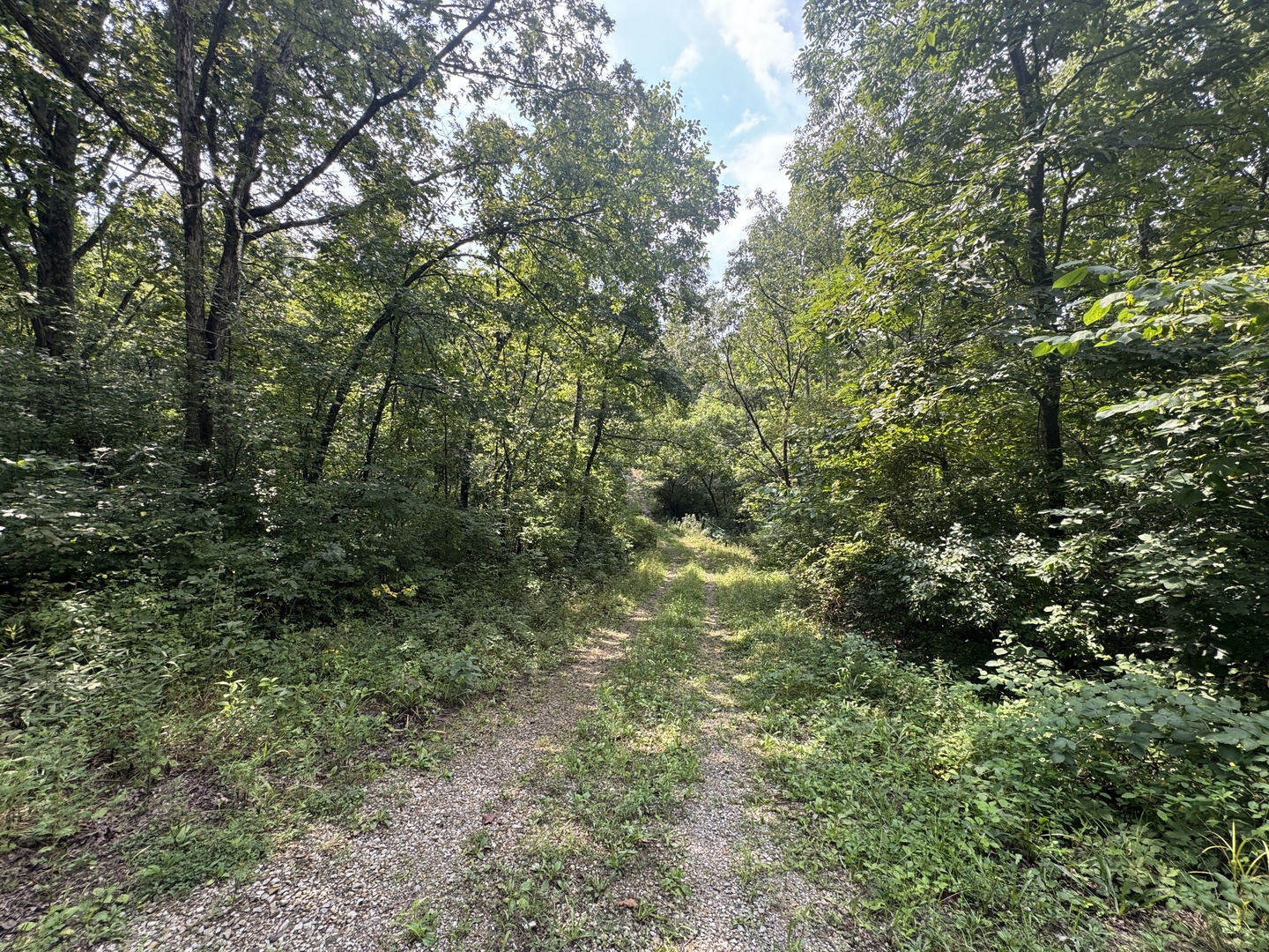 000 Iuka Road Property Photo 41