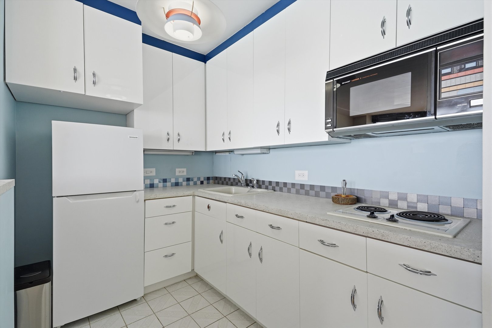 880 N Lake Shore Drive 10c Property Photo 8