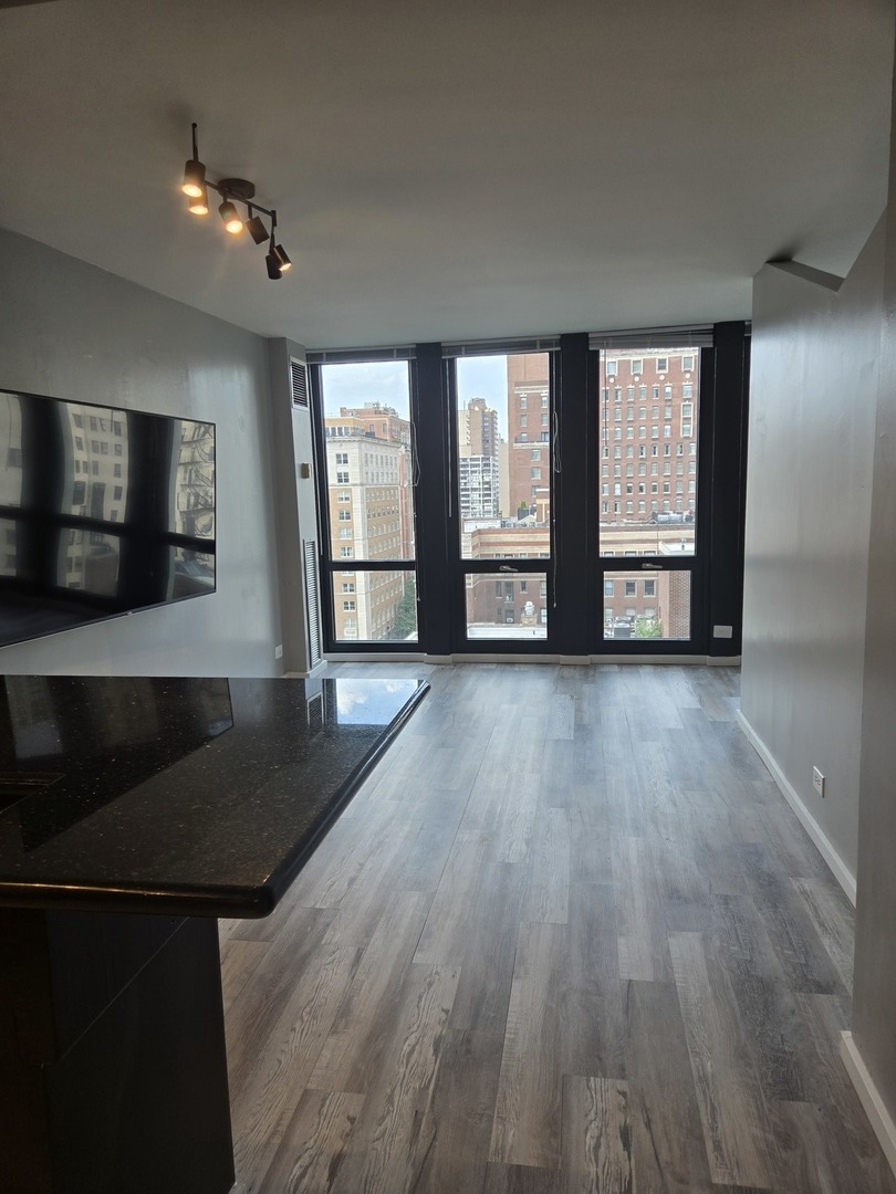 1 E Scott Street 1412 Property Photo 3