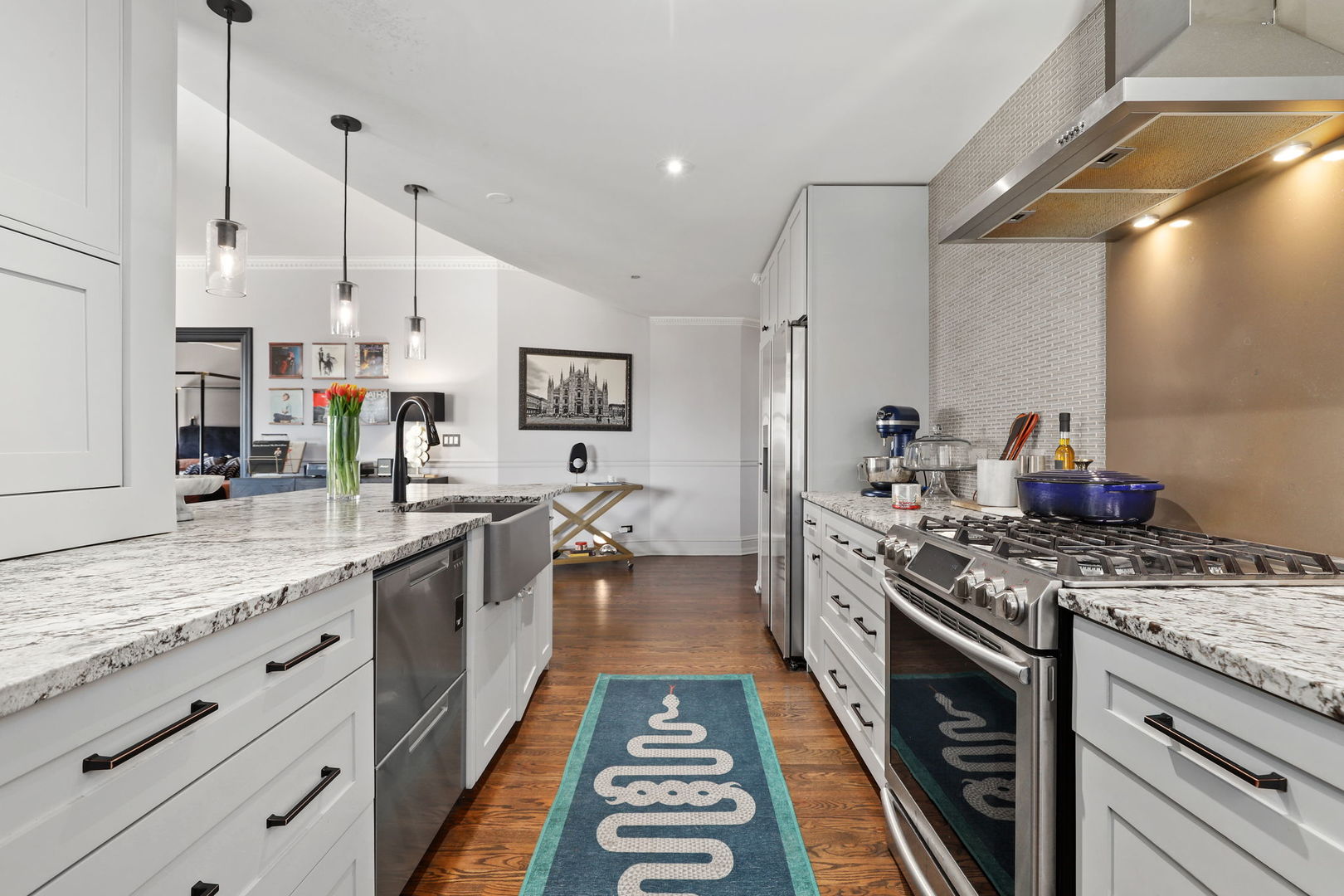 910 S Michigan Avenue 304 Property Photo 14