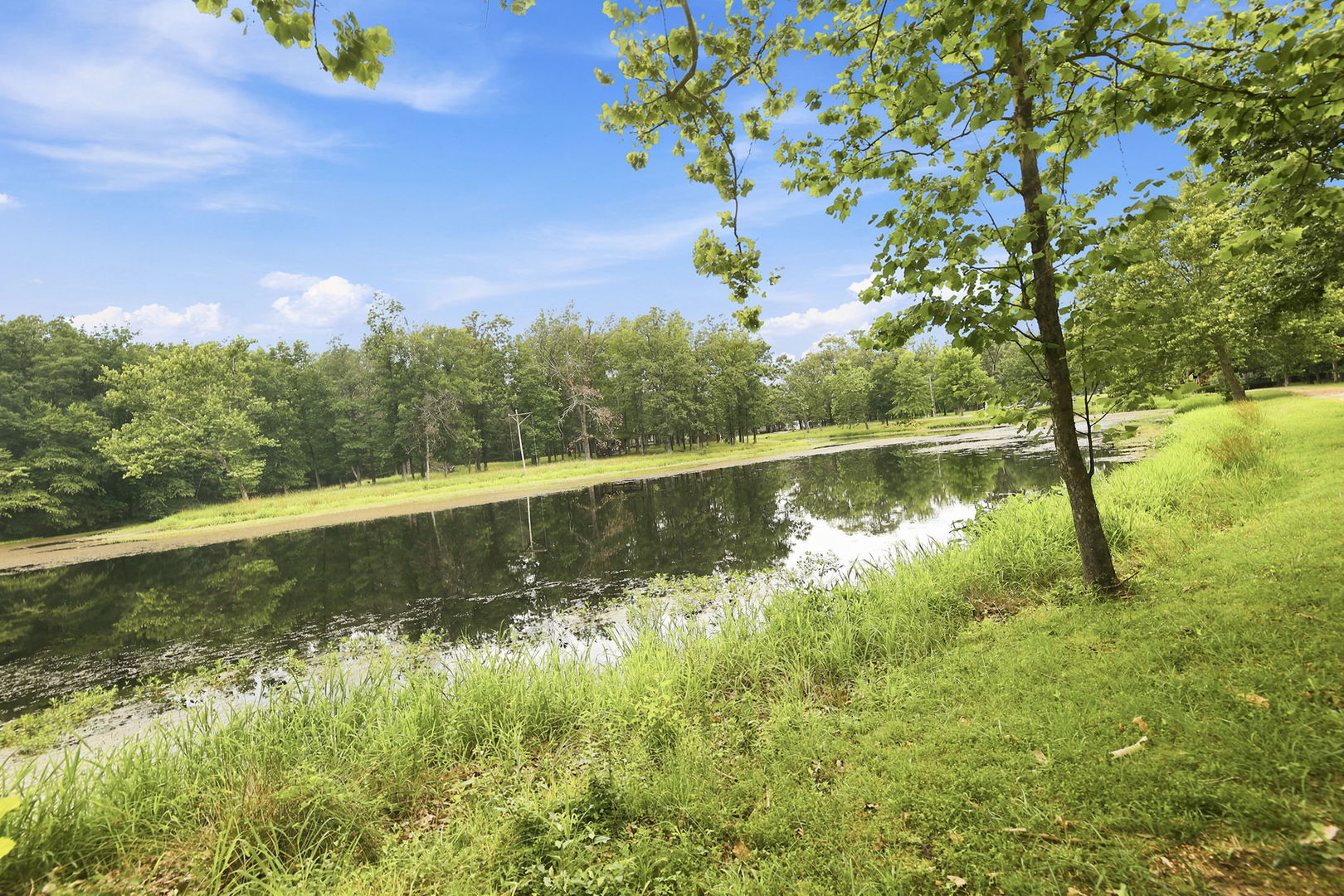 7991 Gemini Court Property Photo 9