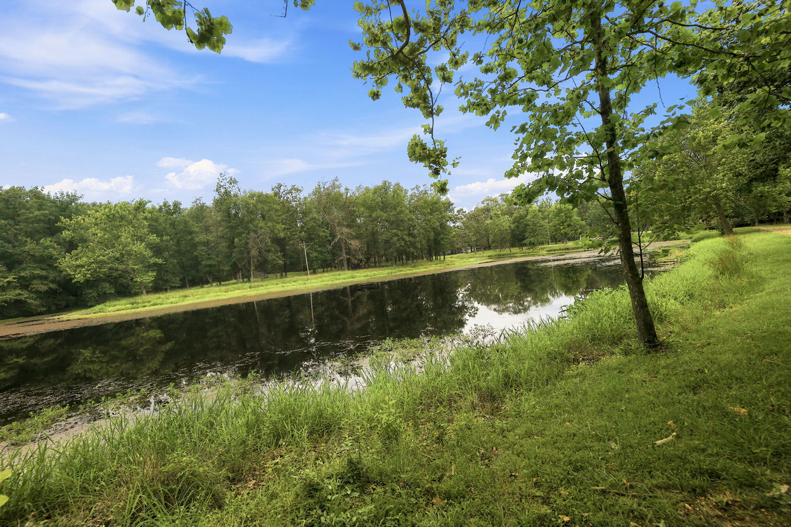 7991 Gemini Court Property Photo 14