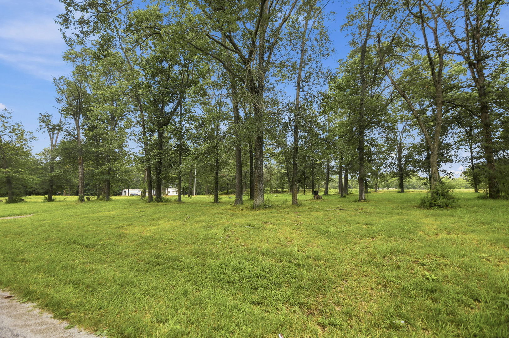 7991 Gemini Court Property Photo 19