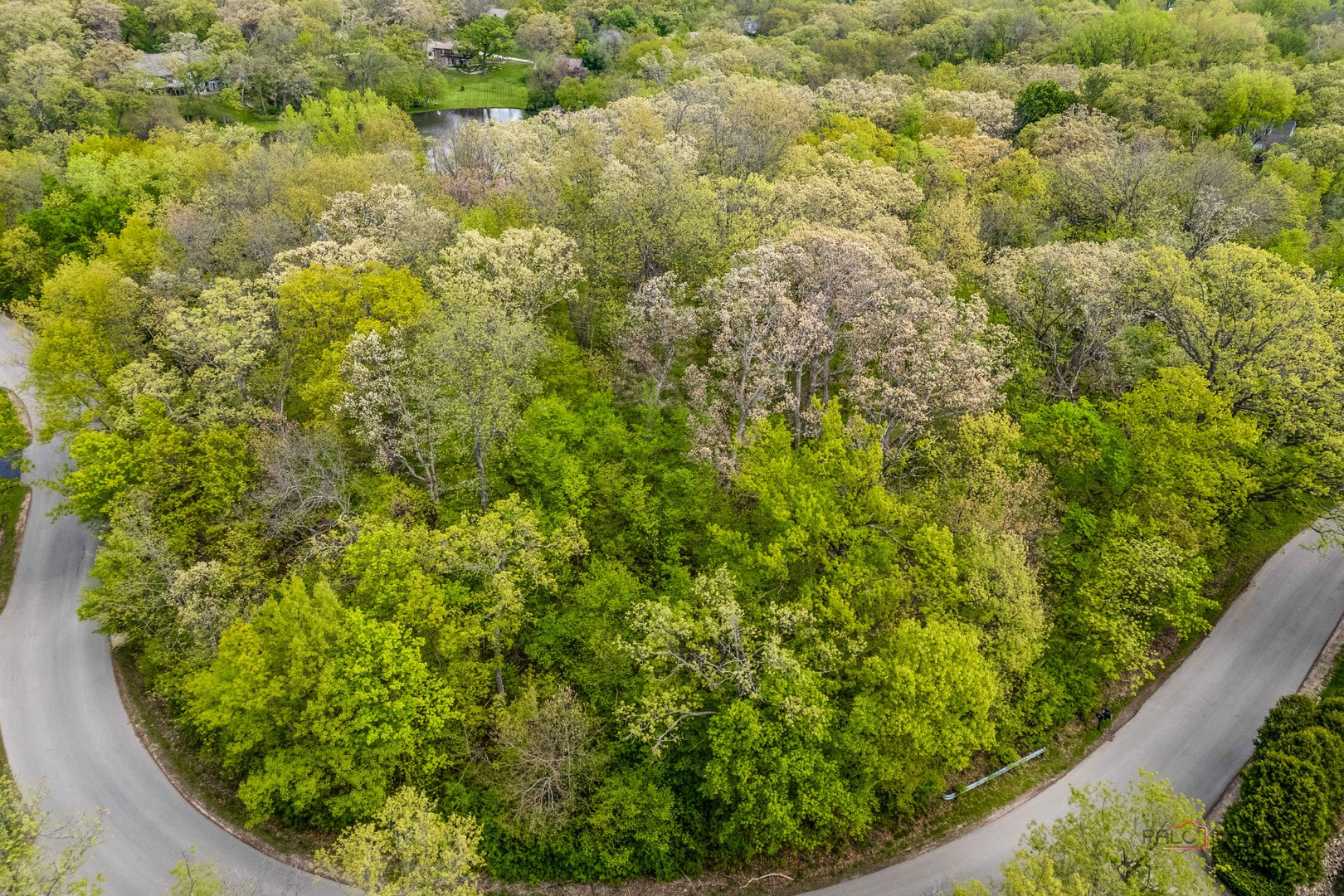 21061 N Andover Road Property Photo 4