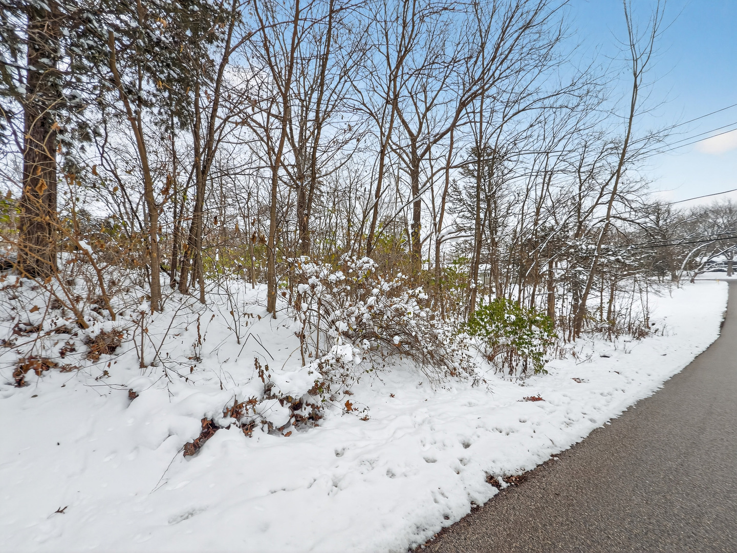 35563 N Hillside Avenue Property Photo 12
