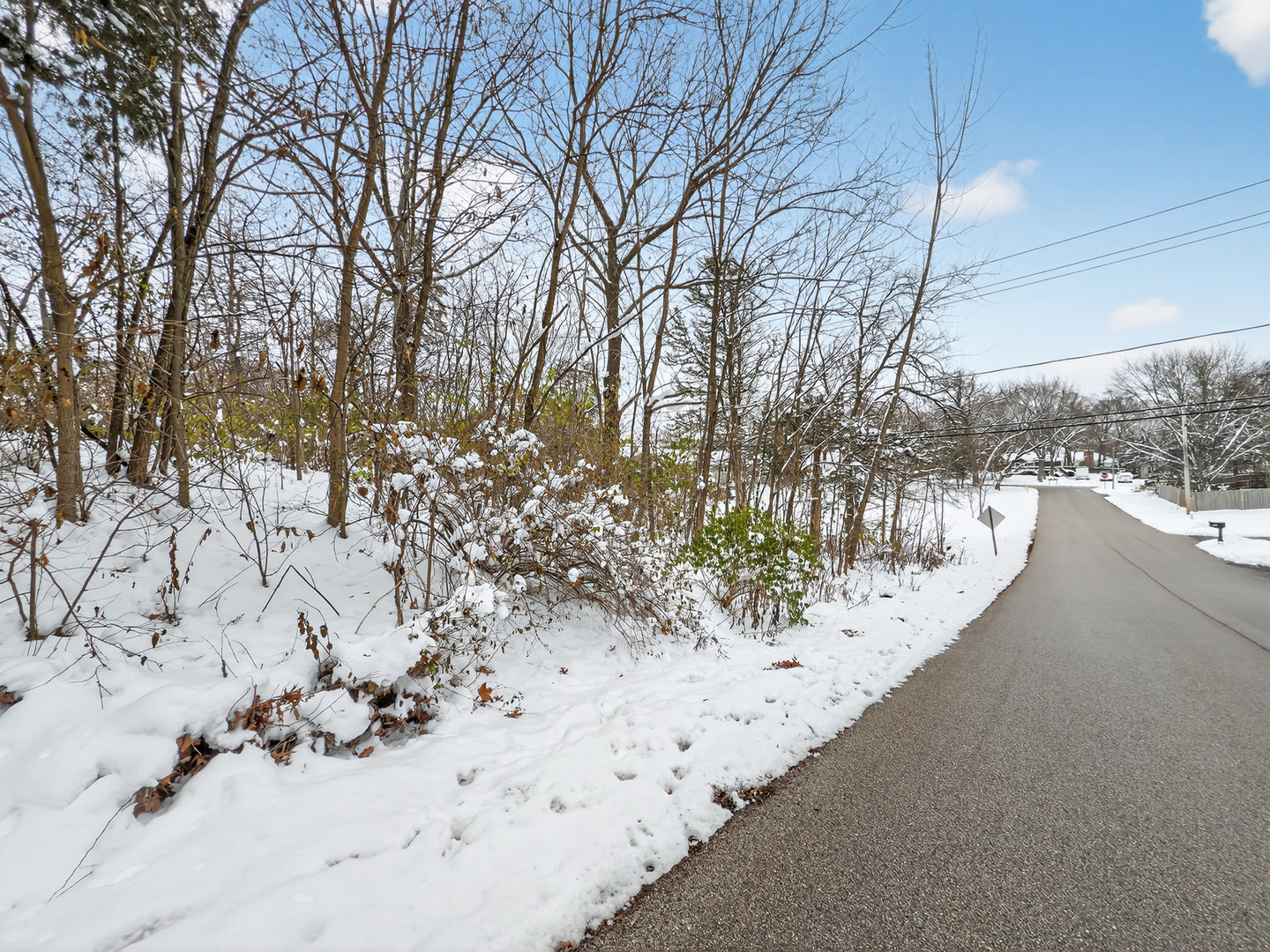35563 N Hillside Avenue Property Photo 13