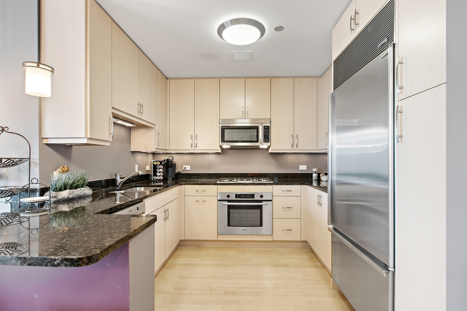 60 E Monroe Street 4503 Property Photo 7