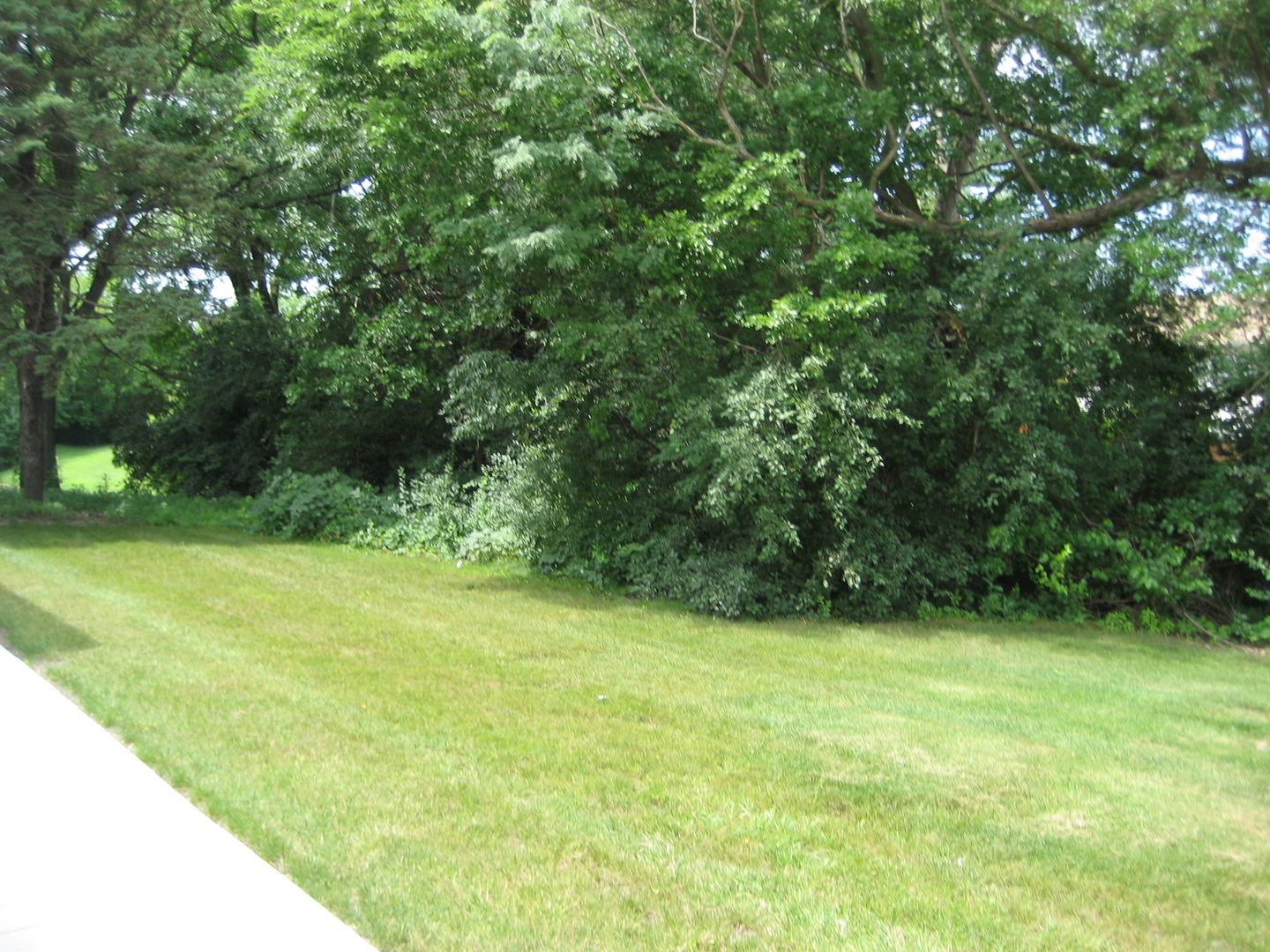 1980 Huntington Boulevard Property Photo 14