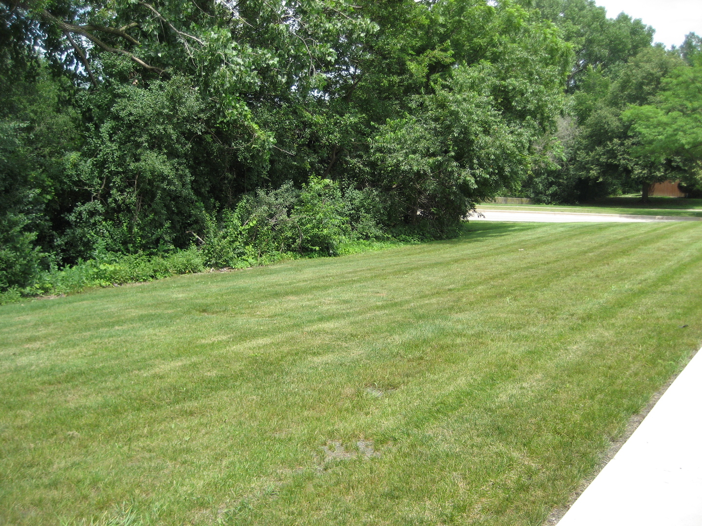 1980 Huntington Boulevard Property Photo 15