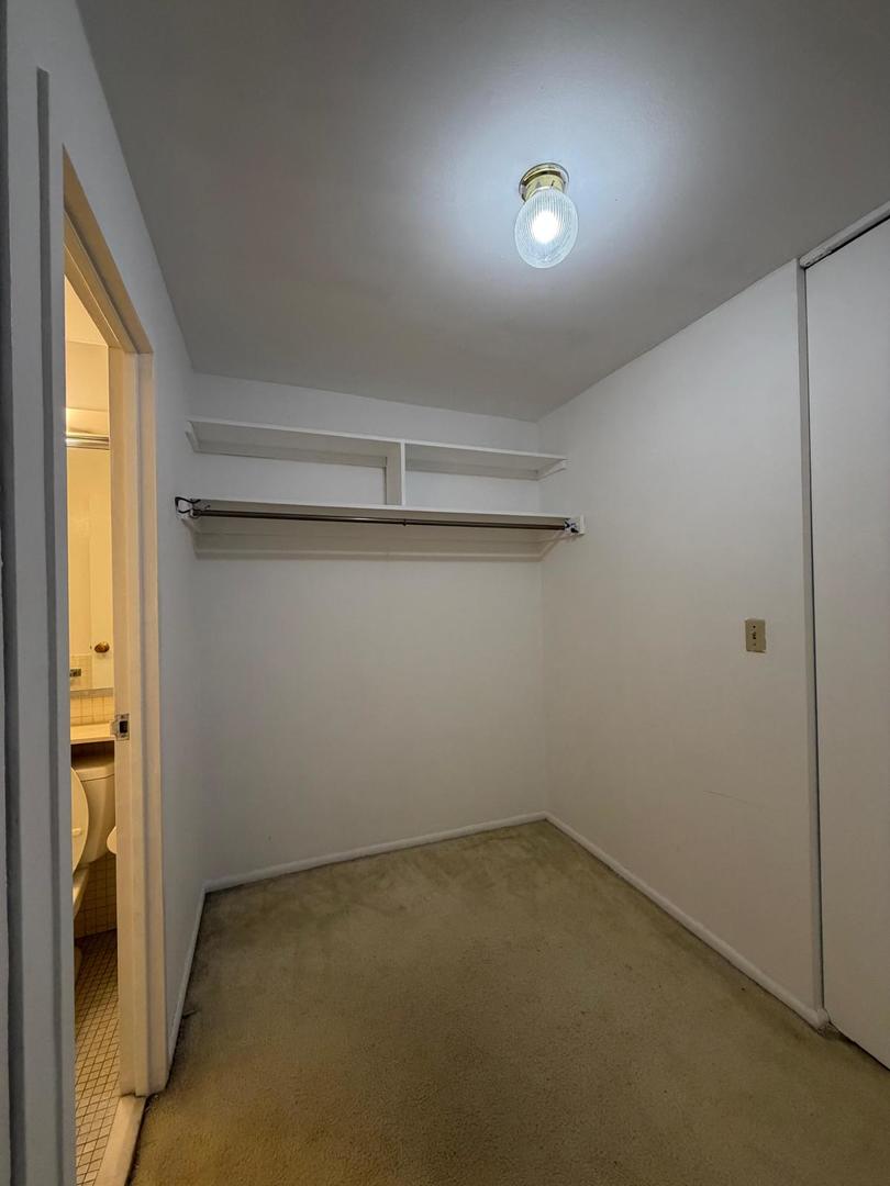 400 E Randolph Street 921 Property Photo 13