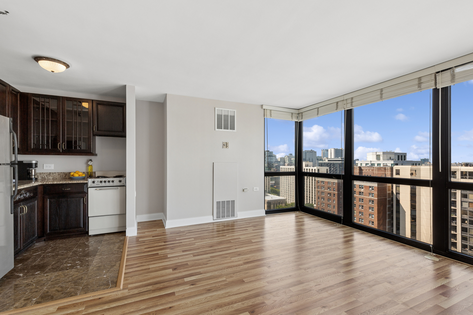 1122 N Clark Street 2102 Property Photo 11