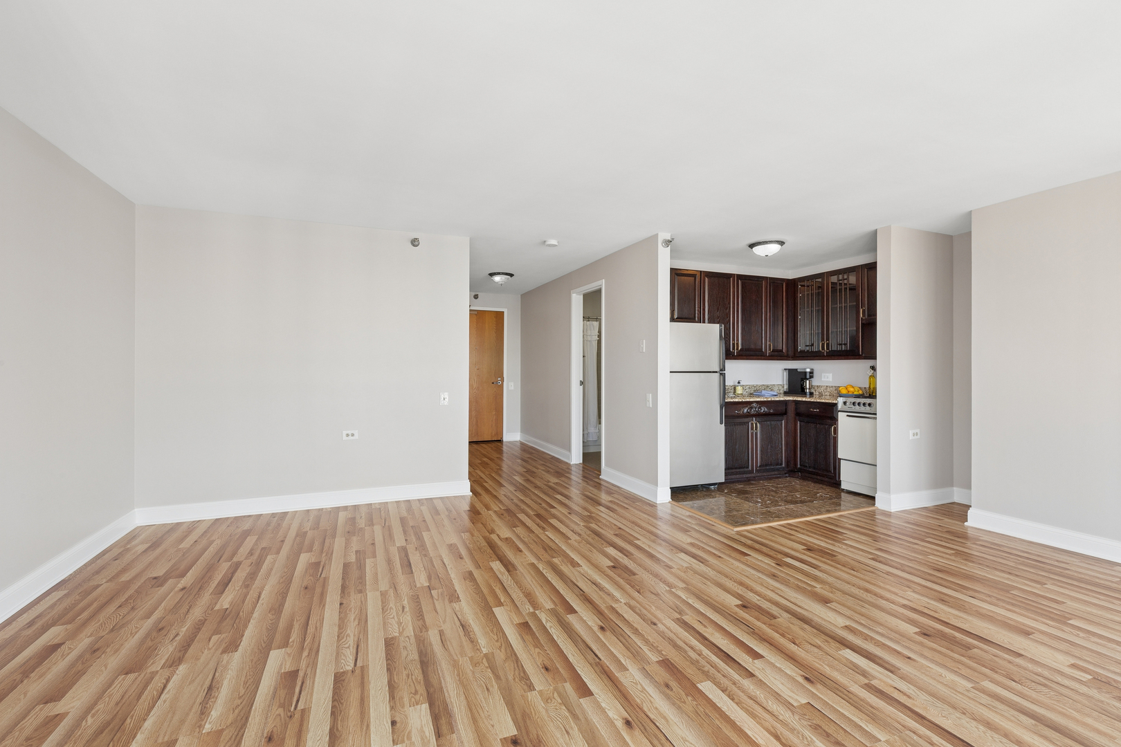 1122 N Clark Street 2102 Property Photo 14