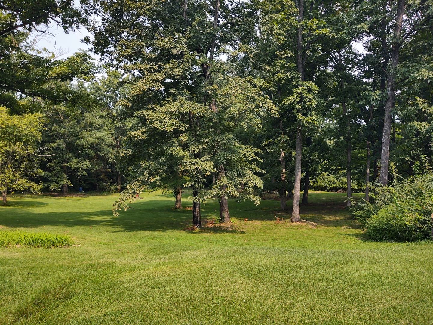 485 Hensley Hills Drive Property Photo 19