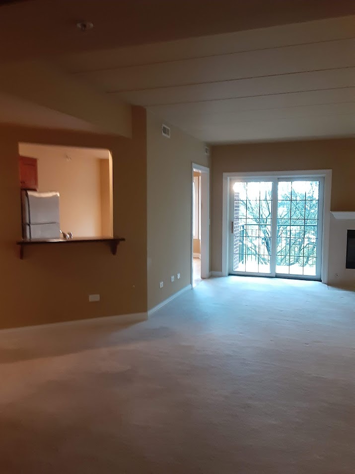 6675 S Cass Avenue 2a Property Photo 13