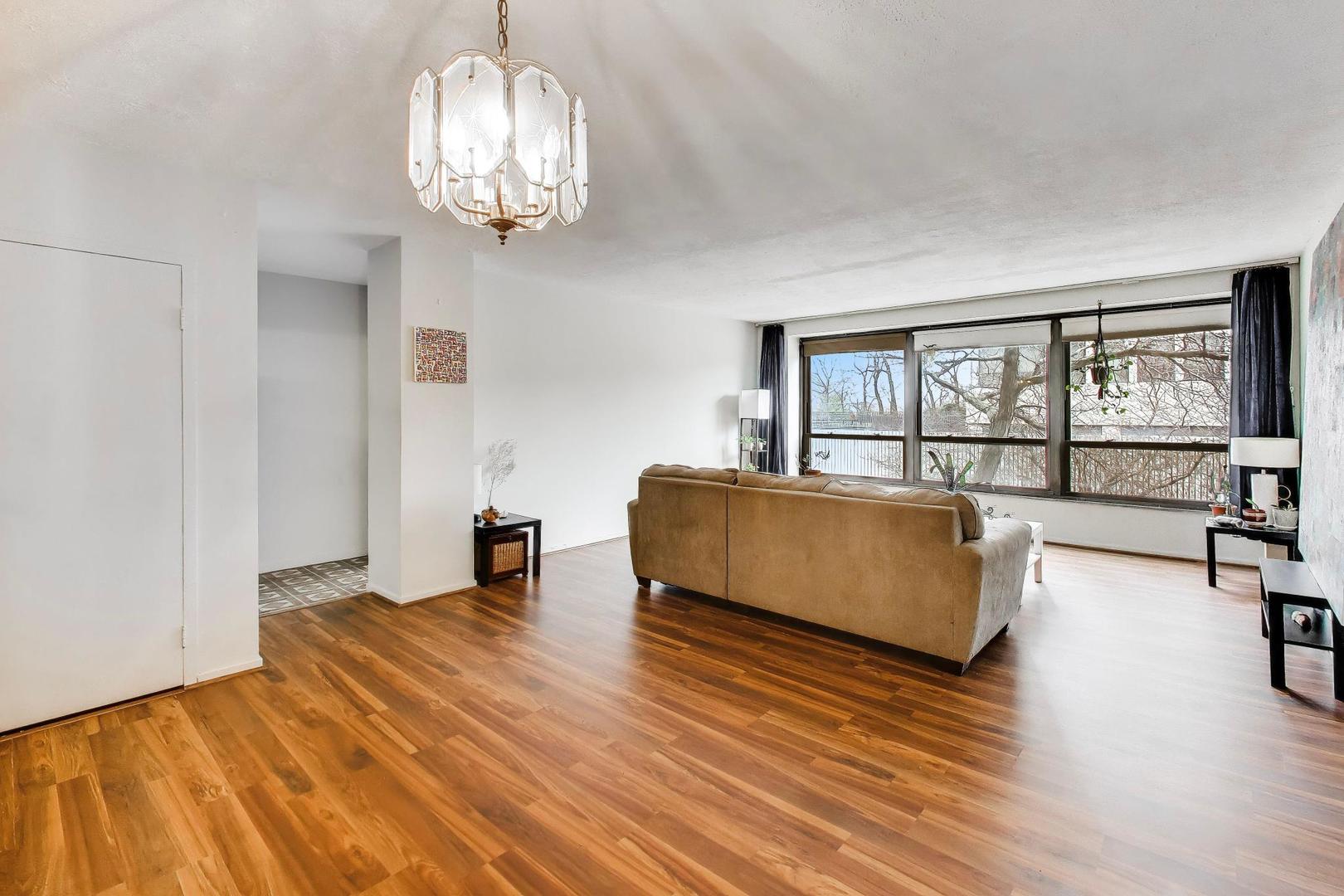 5050 S East End Avenue 3b Property Photo 6