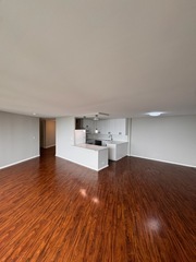 505 N Lake Shore Drive 1407-1408 Property Photo 10