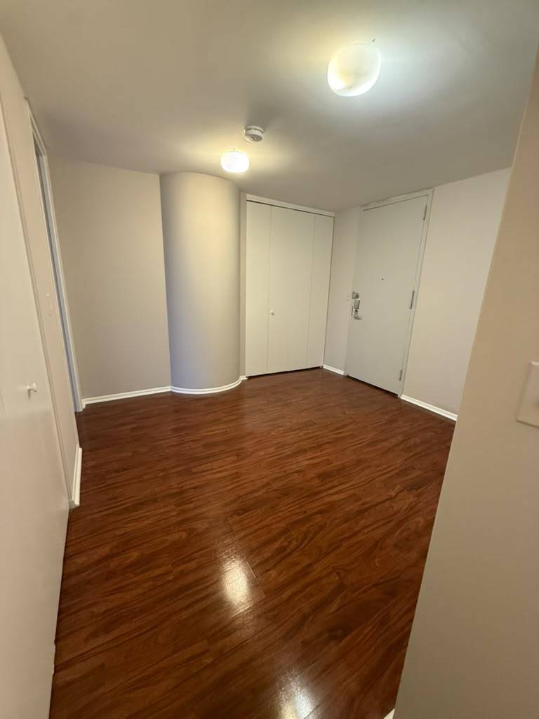 505 N Lake Shore Drive 1407-1408 Property Photo 18