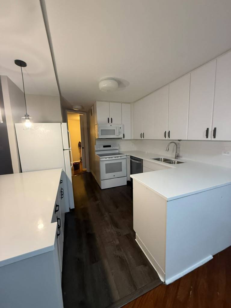 505 N Lake Shore Drive 1407-1408 Property Photo 37