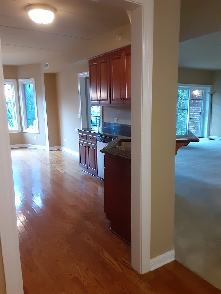 6675 S Cass Avenue 2a Property Photo 6
