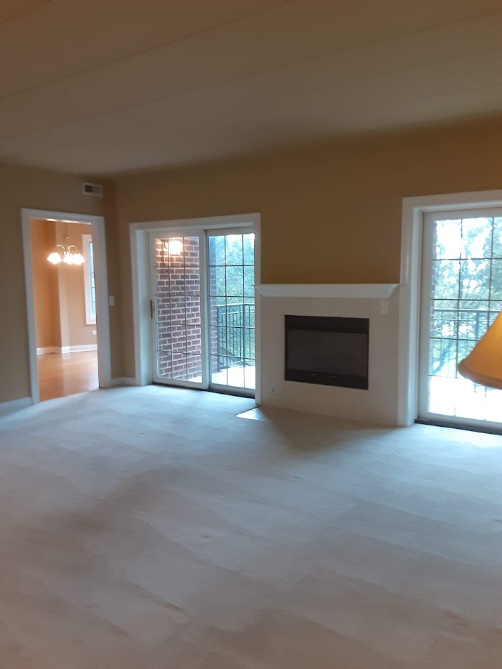 6675 S Cass Avenue 2a Property Photo 11