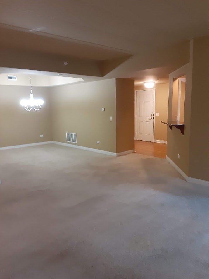6675 S Cass Avenue 2a Property Photo 16