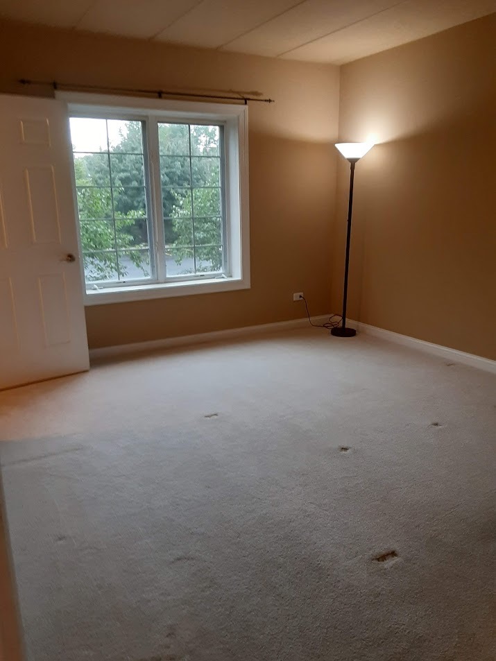 6675 S Cass Avenue 2a Property Photo 19