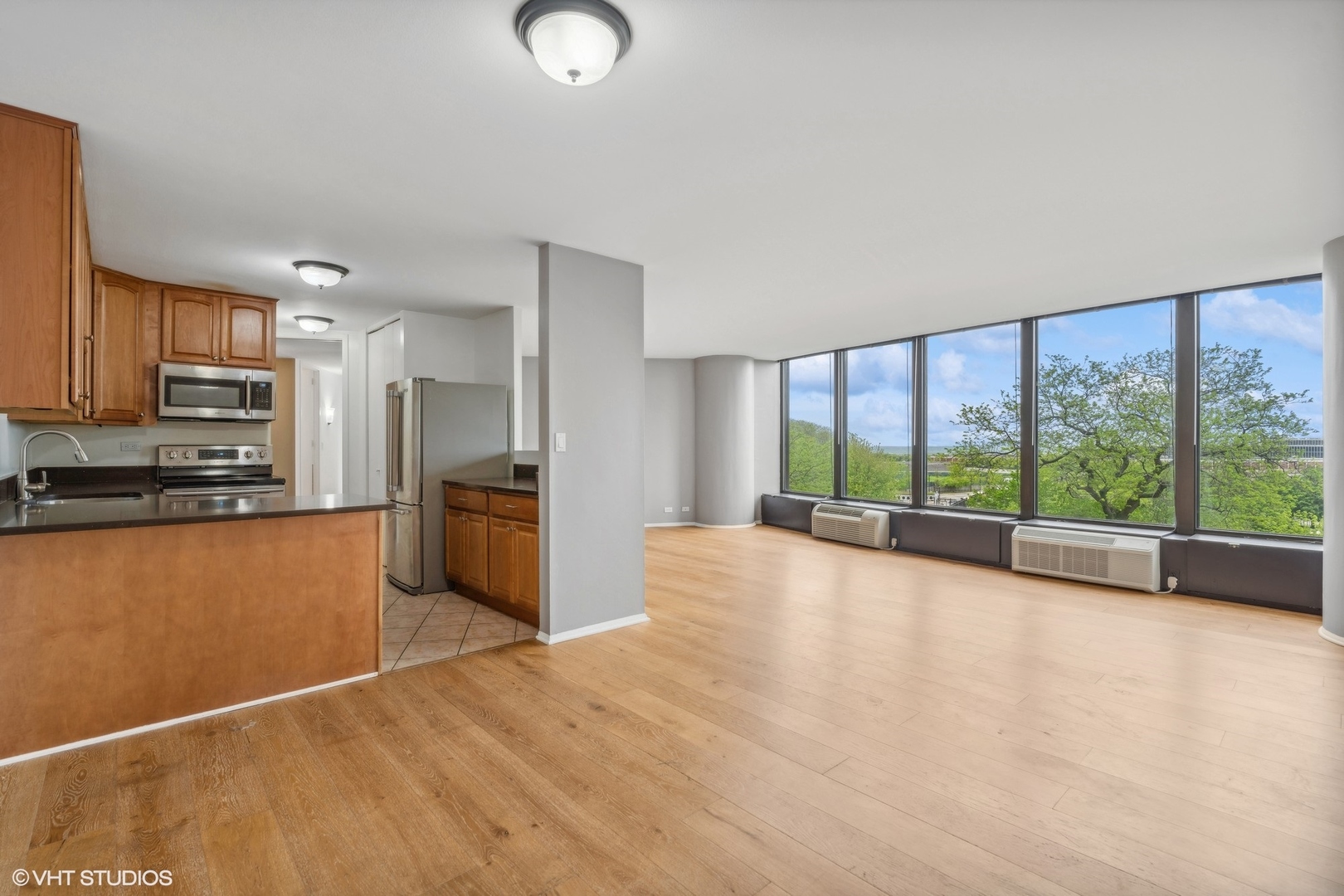 505 N Lake Shore Drive 405 Property Photo 4