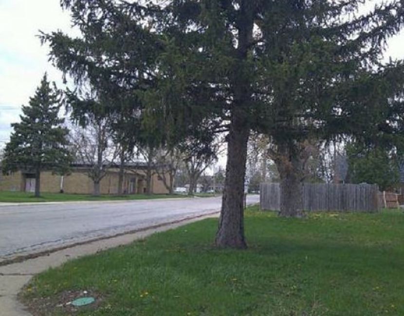 1905 E Linden Street Property Photo 3