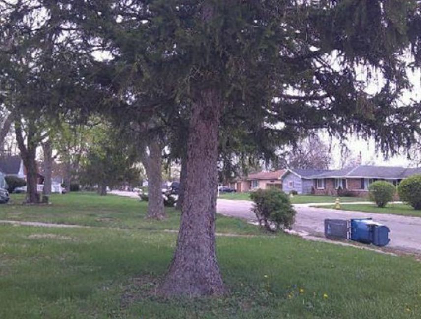 1905 E Linden Street Property Photo 4