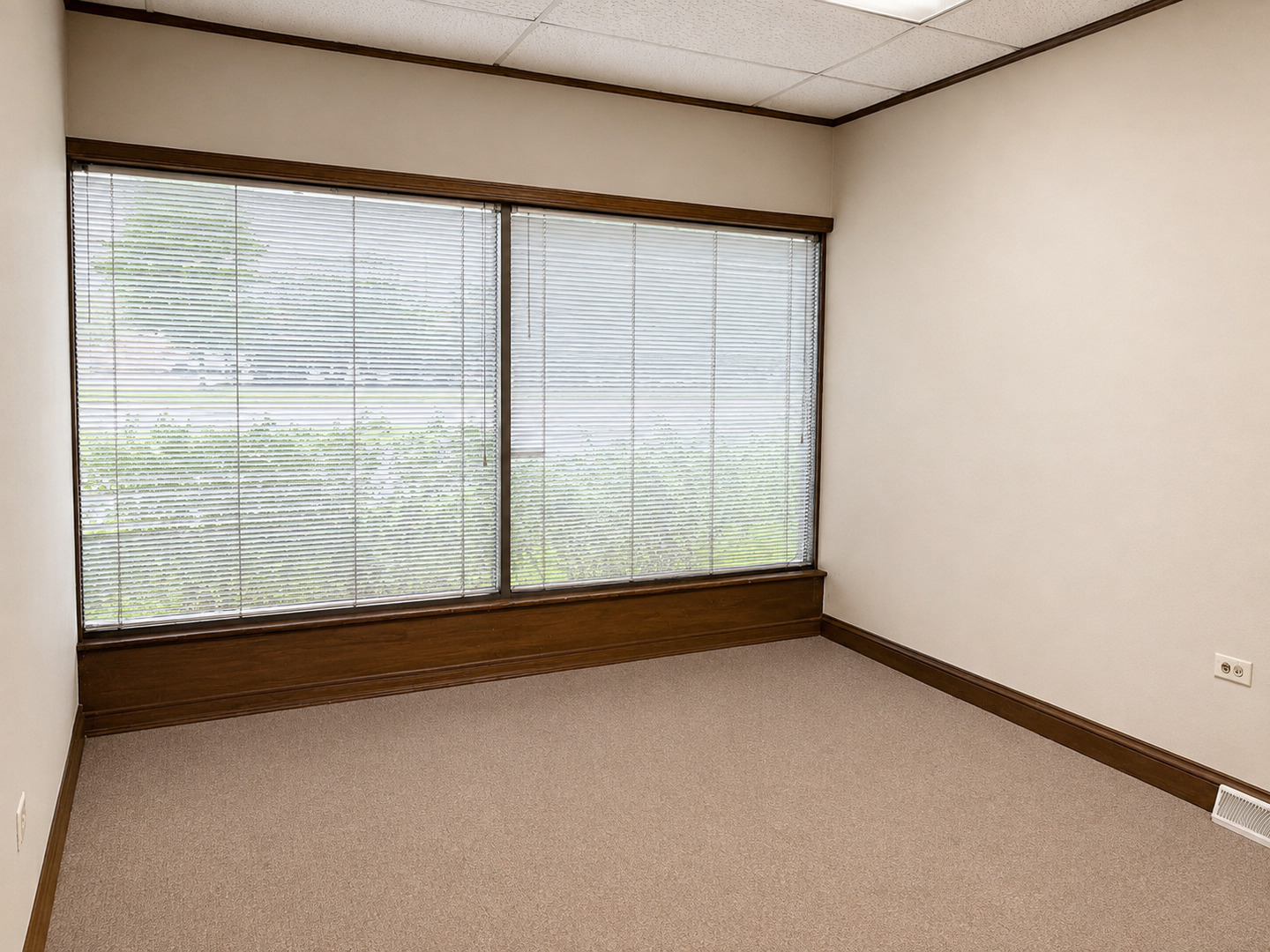 350 S Schmale Road 100 Property Photo 4