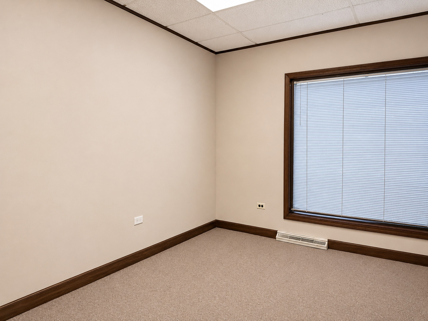 350 S Schmale Road 100 Property Photo 5