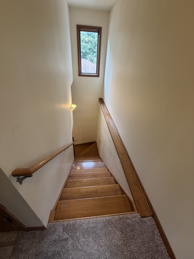 285 E Montrose Avenue Property Photo 15